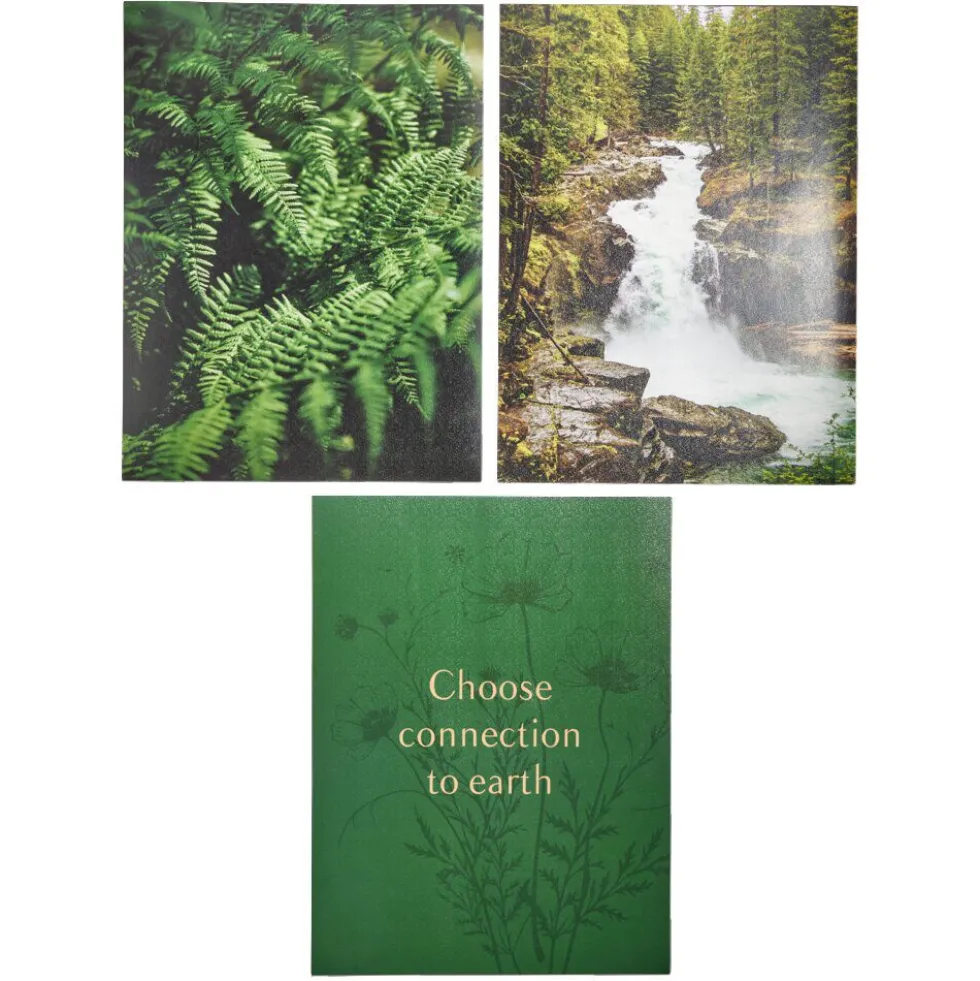 Affiche papier x3 thème nature noir et vert 30x40cm