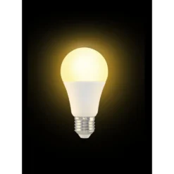 Ampoule LED E27 A60 blanc chaud 11W=70W 1055lms classe F