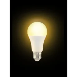 Ampoule LED E27 blanc chaud 14W=100W 1521lms classe F