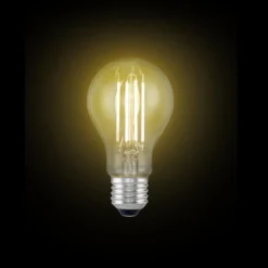 Ampoule LED E27 blanc chaud 6,5W=60W 806lms classe E
