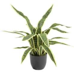 Arbre Sanseviera artificiel vert Ø25xH60cm