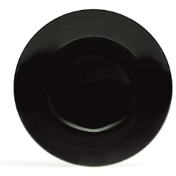 Assiette à dessert décor rayon noir Ø20cm