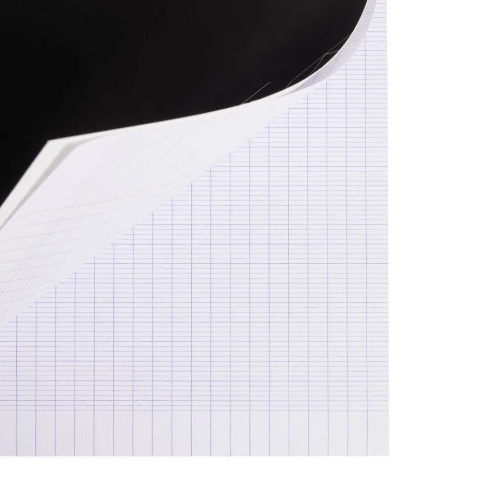 Bloc papier perforé seyès grands carreaux A4 - 160 pages
