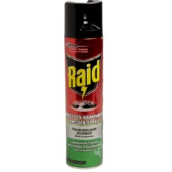 Bombe aérosol antirampant Raid fourmi araignée cafard eucalyptus 400ml