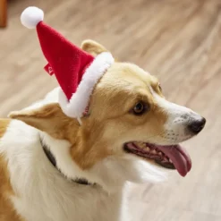 Bonnet pour chien Père Noël L17xH13cm