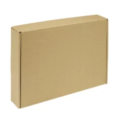 Boîte carton d'expédition marron x5 format 30x20xH5cm