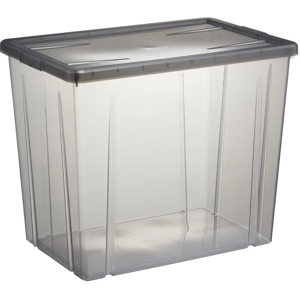 Boîte de rangement ransparente avec couvercle gris 82L