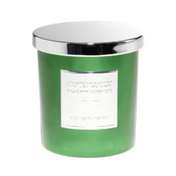 Bougie avec couvercle pot métallisé gris et vert senteur sapin 25H