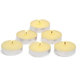 Bougie chauffe plat senteur citronnelle x 100