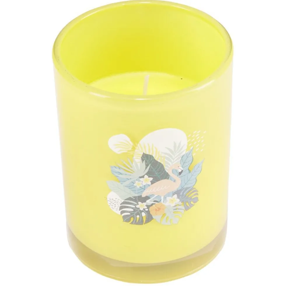 Bougie citronnelle pot en verre coloré motif tropical 28H - Ø13xH8cm