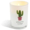 Bougie citronnelle verre