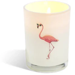 Bougie citronnelle verre