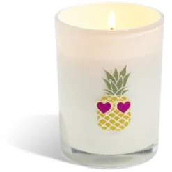 Bougie citronnelle verre