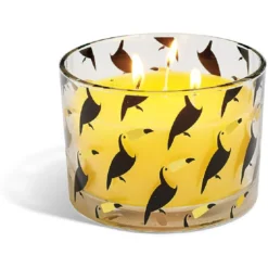 Bougie citronnelle verre