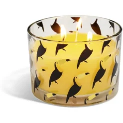 Bougie citronnelle verre 3 mèches Ø13xH8cm (4 modèles)