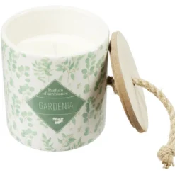 Bougie dans pot céramique design végétal