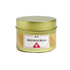 Bougie dans pot métal doré - Bleu sauvage