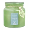 Bougie parfumée dans bonbonnière senteur eucalyptus 30H