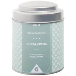 Bougie parfumée dans pot métal gris et vert senteur eucalyptus 26H