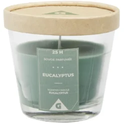 Bougie parfumée dans verre senteur eucalyptus Ø9xH8,3cm 25H