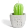 Bougie plante dans pot ciment Ø5xH7cm