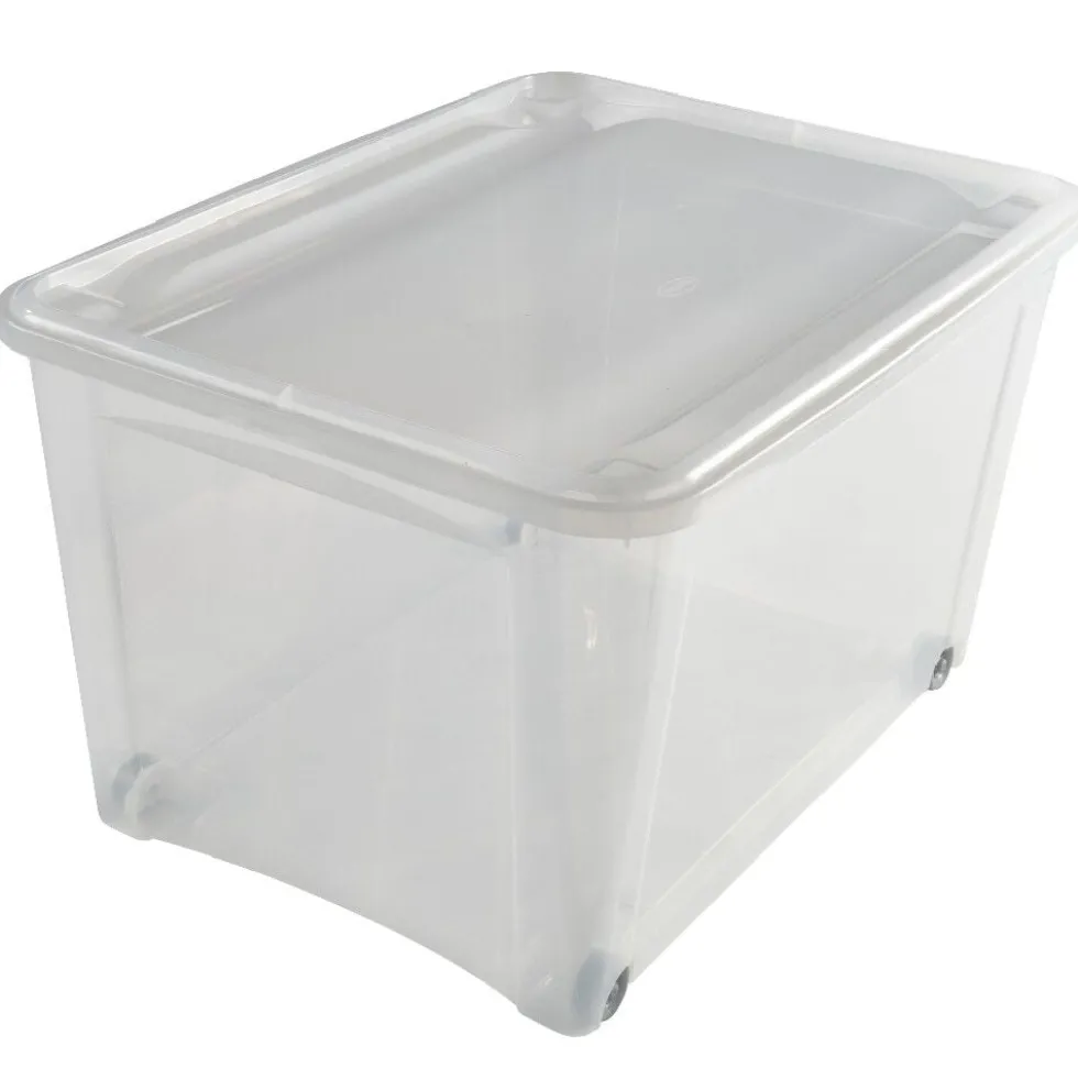 Box de rangement à roulettes transparent 140L