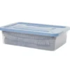 Box dessous de lit transparent et vert 30L