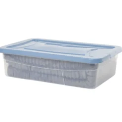 Box dessous de lit transparent et vert 30L