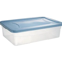 Box dessous de lit transparent et vert 30L