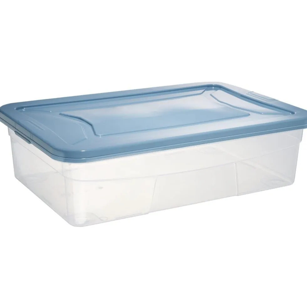Box dessous de lit transparent et vert 30L