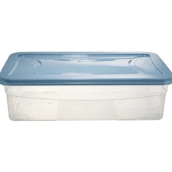 Box dessous de lit transparent et vert 30L
