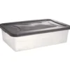 Box dessous de lit transparent et gris 30L