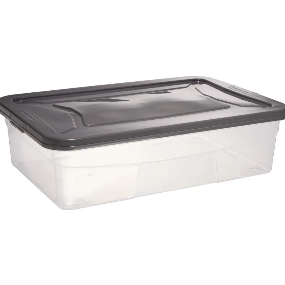 Box dessous de lit transparent et gris 30L