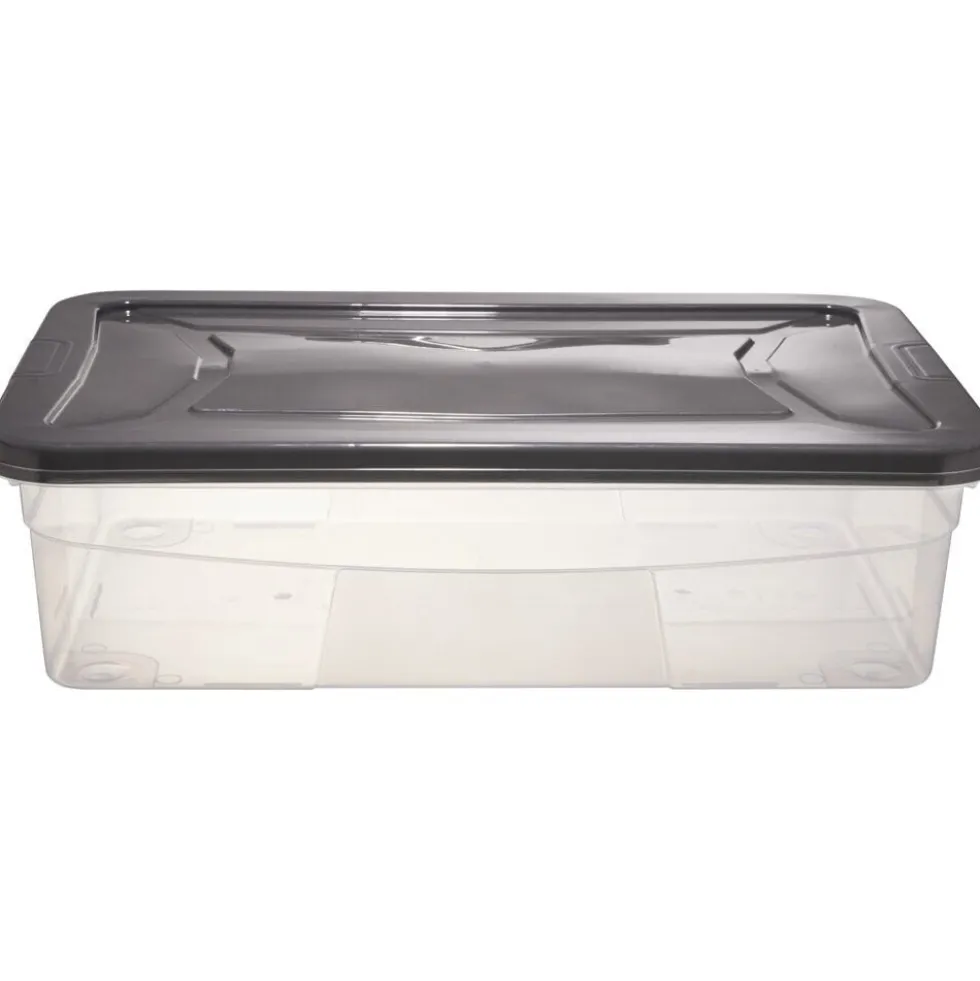 Box dessous de lit transparent et gris 30L