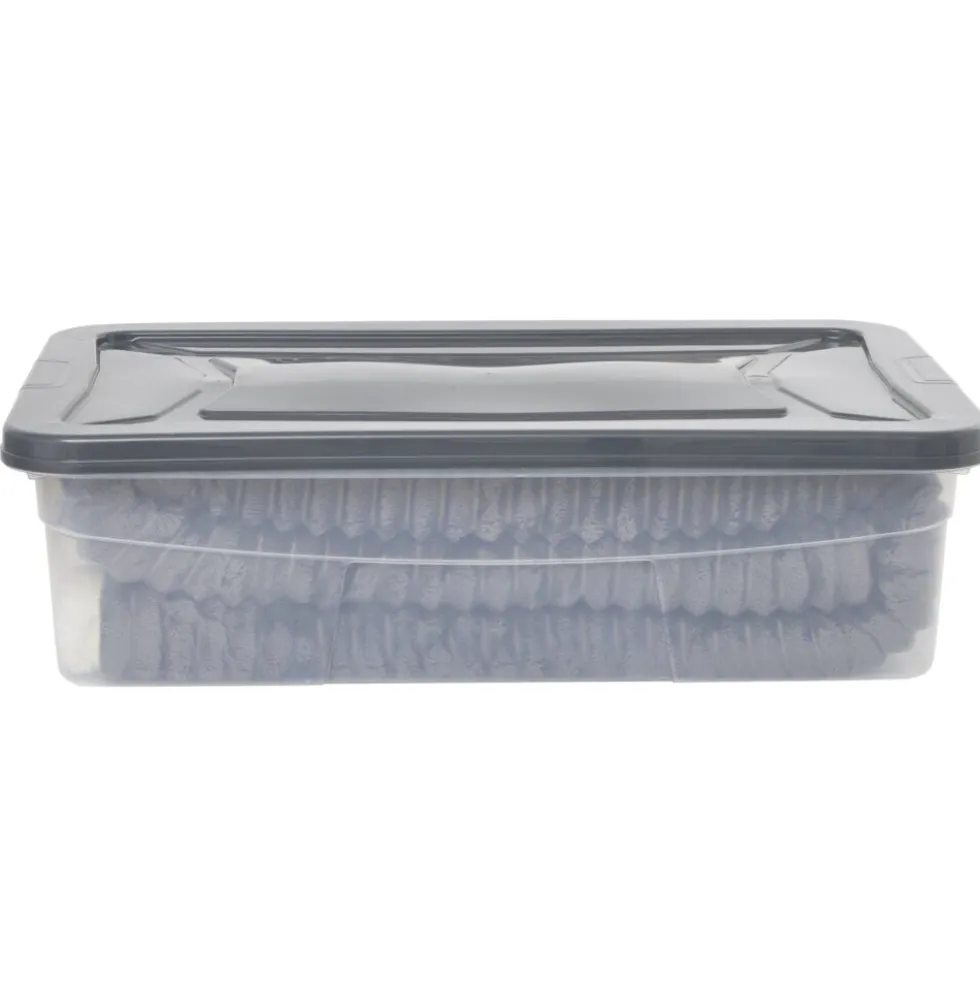 Box dessous de lit transparent et gris 30L