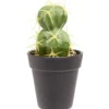Cactus artificiel double boule vert et jaune Ø7,5xH15cm