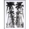 Cadre déco en bois motif palmiers noir et blanc 50x70cm