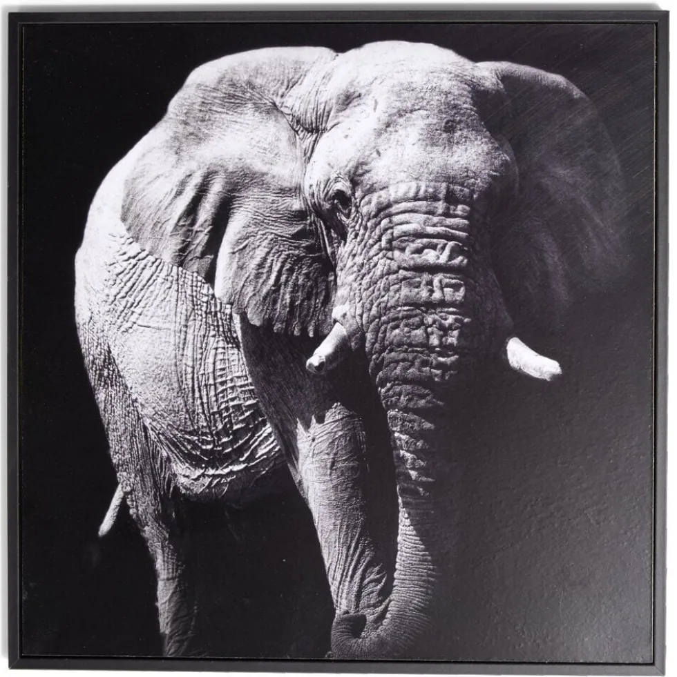 Cadre déco en bois photo éléphant 30x30cm