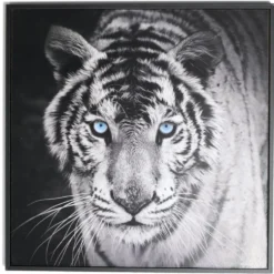 Cadre déco en bois photo tigre blanc 30x30cm