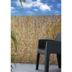 Canisse en paillon de roseaux pelés L500 x H150 cm