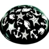 Capsule pour projecteur Beach x 2