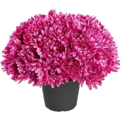 Chrysanthèmes artificiels dans pot - 29 têtes - Violet