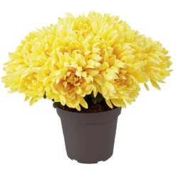 Chrysanthèmes artificiels dans pot - 29 têtes - Jaune