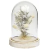 Cloche déco pampa socle bois naturel
