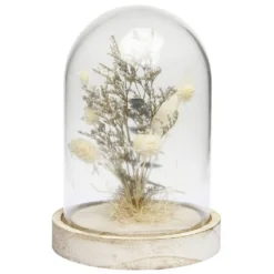 Cloche déco pampa socle bois naturel