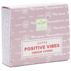 Cône d'encens à brûler x10