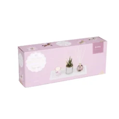 Coffret senteur bougie/plateau/diffuseur/plante artificielle