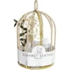 Coffret senteur cage corde fleur séchée eucalyptus Ø14xH24cm