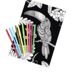 Coloriage velours avec 10 feutres