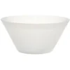 Coupelle plastique blanc translucide Ø17xH5 cm